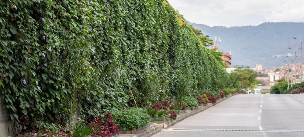 Medellín avanza como Ecociudad con tecnologías limpias y más acciones por una mejor calidad del aire